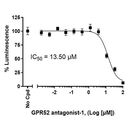 GPR52/CRE Luciferase Reporter HEK293 Cell Line