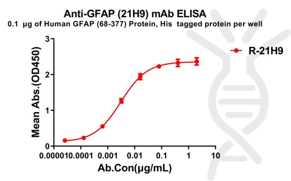 Anti-GFAP(68-377) antibody(21H9), Rabbit mAb