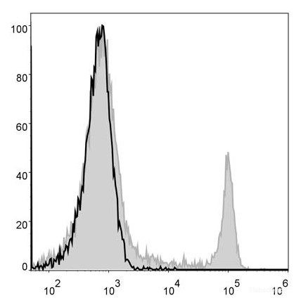 Anti-Mouse CD8a (AF488 Conjugated)[53-6.7], clone 53-6.7