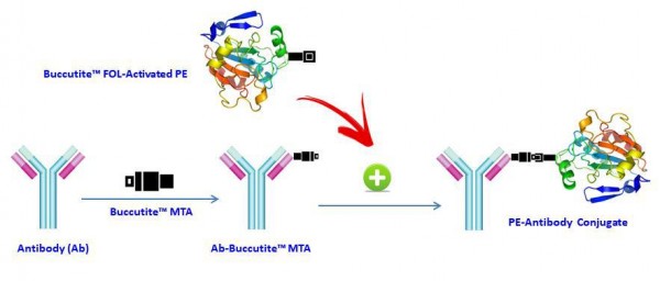 Buccutite(TM) Rapid PE-Cy5.5 Tandem Antibody Labeling Kit *Microscale Optimized for Labeling 100 ug