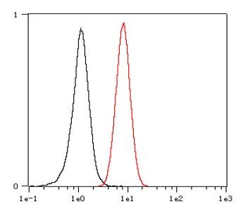 Anti-CD21, clone SQab1728