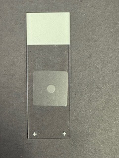 SKBR3 FFPE Cell Pellet Slide