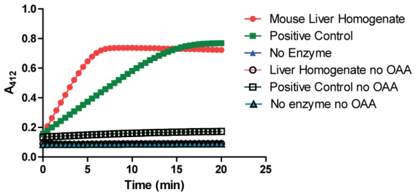 MitoCheck(R) Citrate Synthase Activity Assay Kit