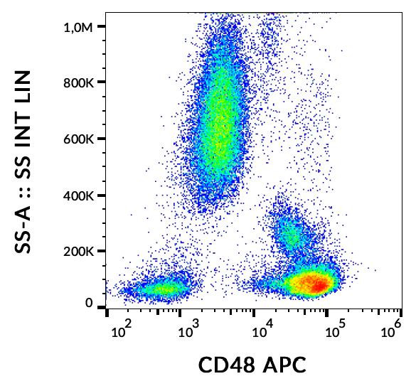 Anti-CD48, clone MEM-102 (APC)