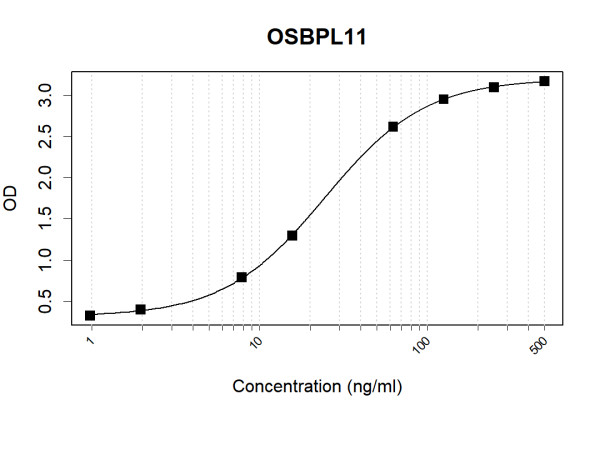 Anti-Human OSBPL11 Antibody Pair