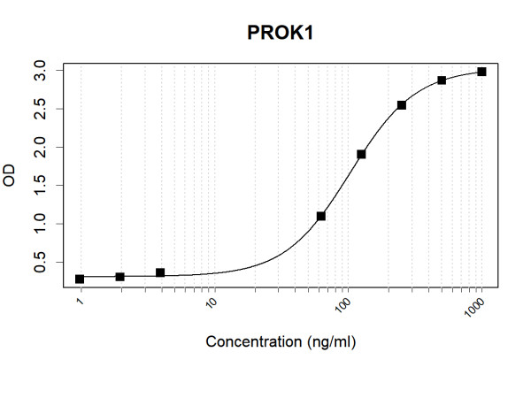 Anti-Human EG-VEGF Antibody Pair