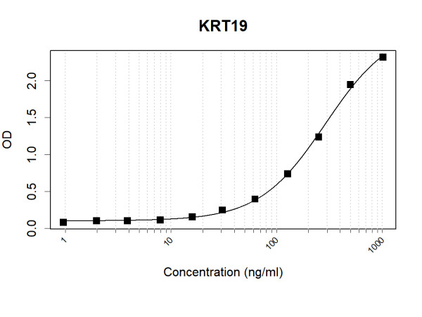 Anti-Human Cytokeratin-19 Antibody Pair