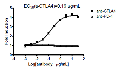 CTLA4 / IL-2 Reporter - Jurkat Recombinant Cell Line