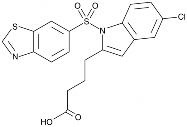 Lanifibranor