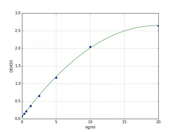 Human DPP1 / CTSC ELISA Kit