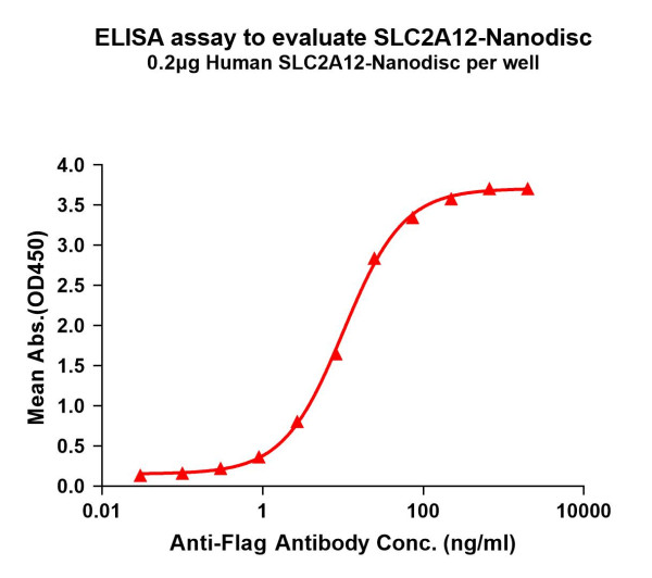 SLC2A12 (human) full length protein-synthetic nanodisc