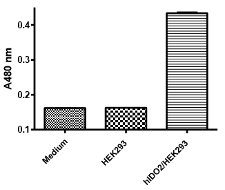 IDO2 - HEK293 Recombinant Cell Line (Human)