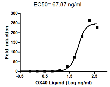 OX40/NF-kappaB Luciferase Reporter HEK293 Cell Line