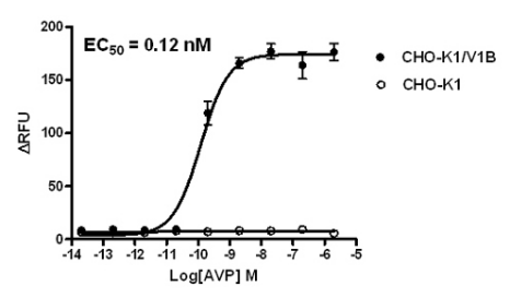 CHO-K1/V1B Stable Cell Line