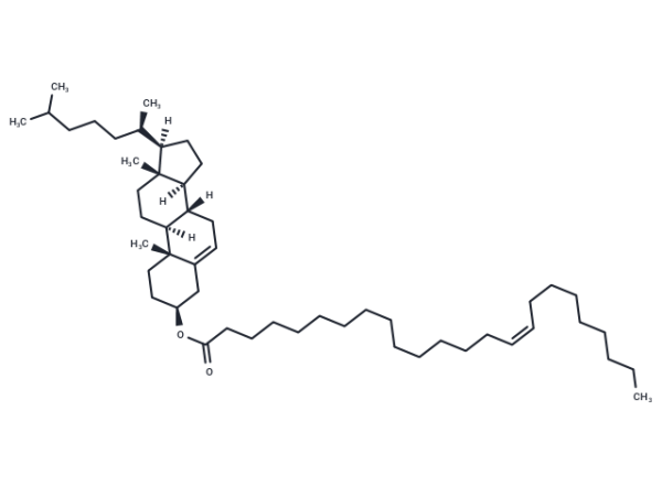 Cholesterol nervonate