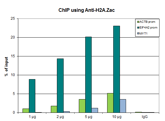 Anti-H2A.Zac