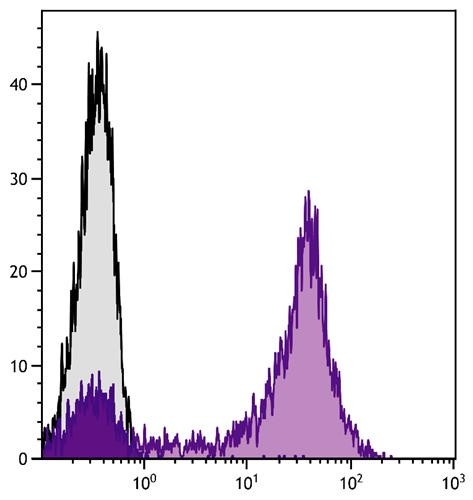 Anti-CD5, clone UCHT2