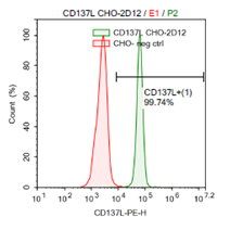 CD137L (4-1BBL) CHO-K1 Recombinant Cell Line