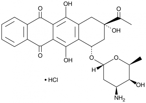 Idarubicin (hydrochloride)