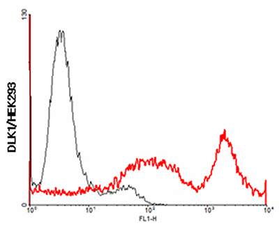 Anti-DLK1 (human)