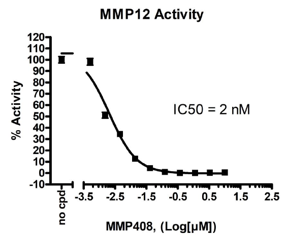 MMP12 Fluorogenic Assay Kit