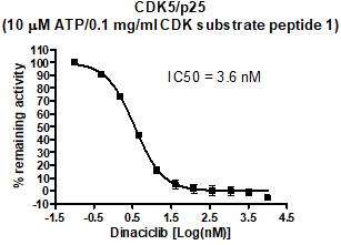 CDK5 Assay Kit
