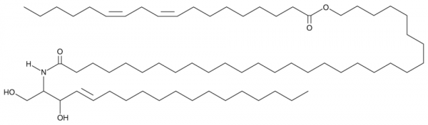 EOS (d18:1/30:0/18:2)