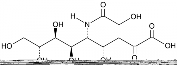 N-Glycolylneuraminic Acid