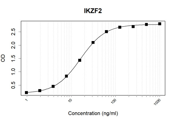 Anti-Human IKZF2 Antibody Pair
