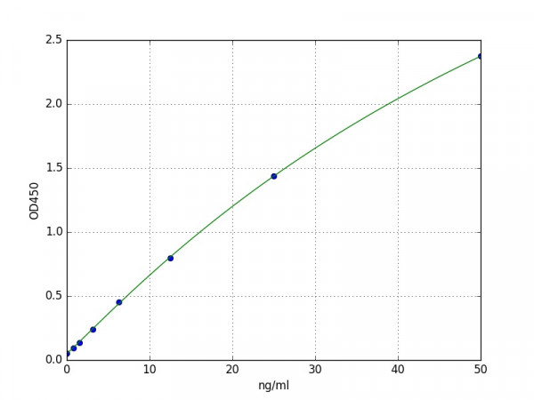 Human LDHA / L-lactate dehydrogenase A chain ELISA Kit
