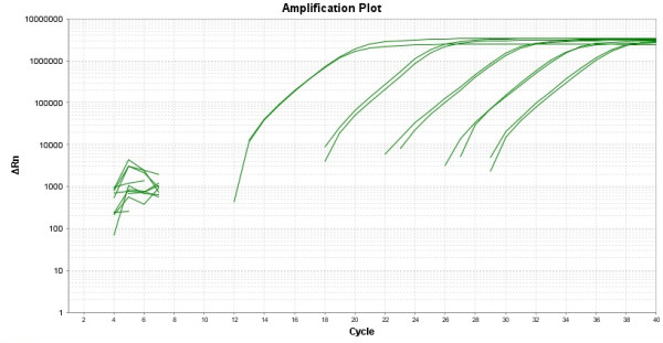 TAQuest(TM) FAST qPCR Master Mix with Helixyte(TM) Green *No ROX*