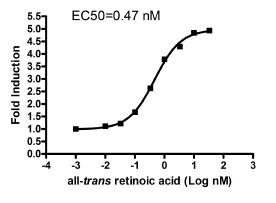 RARbeta Reporter (Luc)-HEK293 Cell Line (ca.2x10(6) cells)