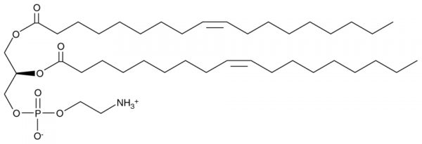 1,2-Dioleoyl-sn-glycero-3-PE