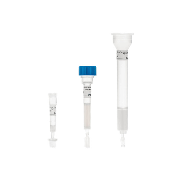 Gravity flow Strep-Tactin(R) 4Flow(R) high capacity, mini-column
