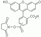 5(6)-FAM, SE (5-(and-6)-Carboxyfluorescein, succinimidyl ester) *Validated for labeling peptides and