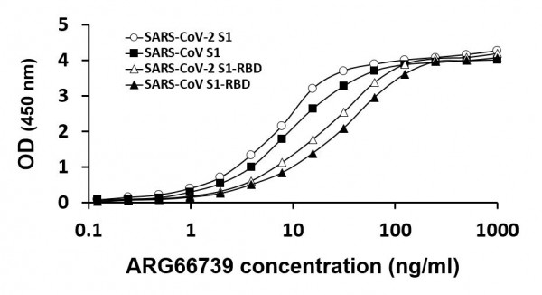 Anti-SARS-CoV / SARS-CoV-2 Spike protein (RBD), clone CR3022