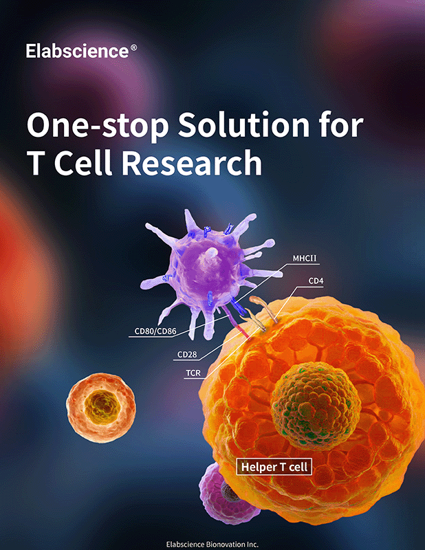 One-stop Solution for T Cell Research