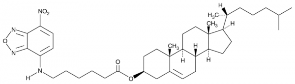 3-hexanoyl-NBD Cholesterol