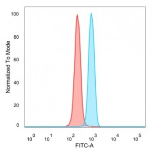 Anti-POGZ / Pogo transposable element with ZNF domain, clone PCRP-POGZ-1B2