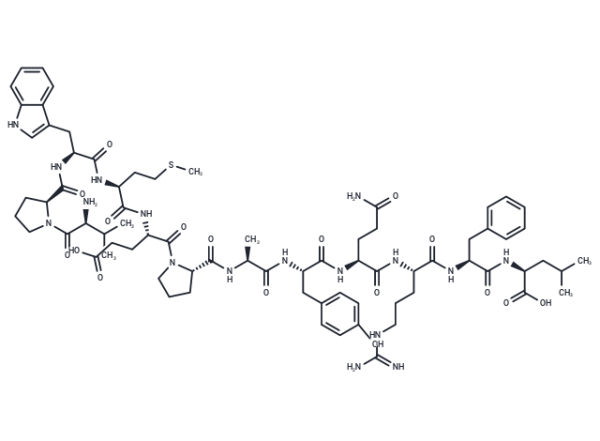 P160 peptide