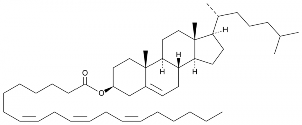 Cholesteryl Homo-gamma-Linolenate