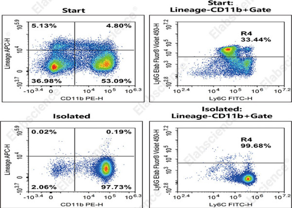 EasySort(TM) Mouse Monocyte Isolation Kit