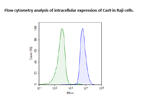 Cas9-Expressing Raji Cell Line