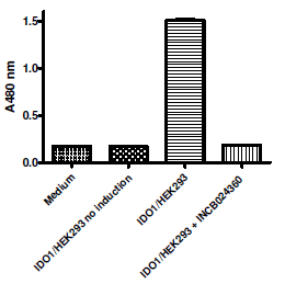 IDO1 Cellular Activity QuickDetect(TM) Supplements