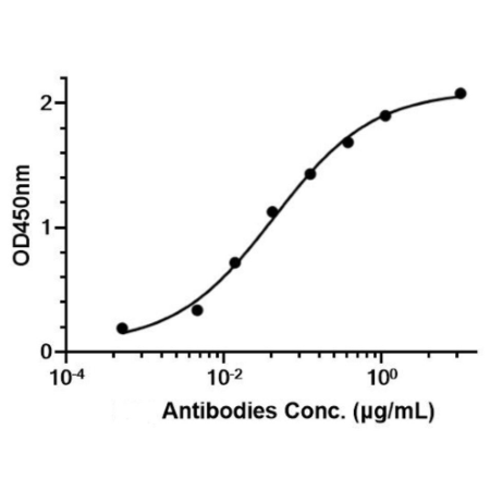 Anti-HER2 Antibody (Pertuzumab)