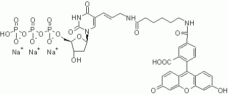 Fluorescein-dUTP *1 mM in Tris Buffer (pH 7.5)*