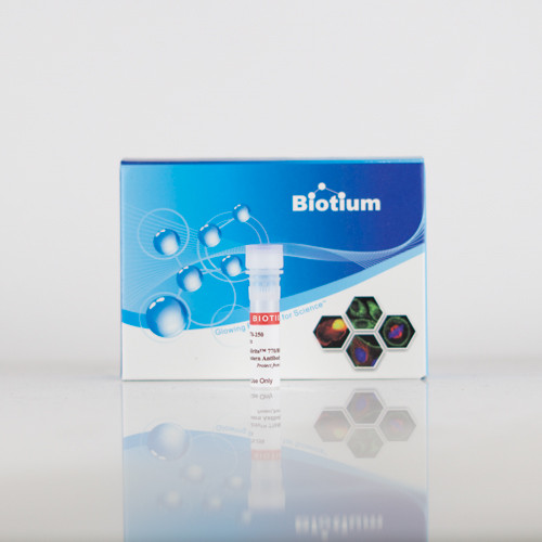 ExoBrite(TM) 770/800 Anti-Calnexin Western Antibody (100 tests)