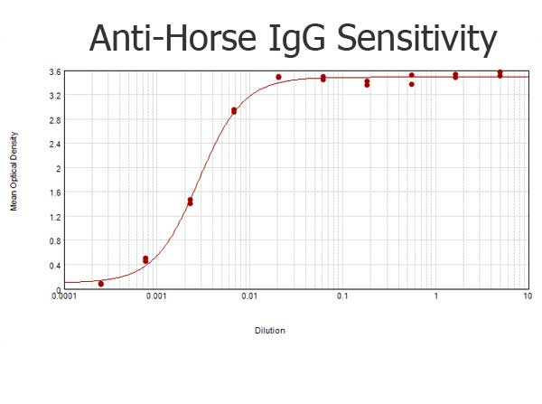 Anti-Horse IgG (H&amp;L) [Rabbit] Peroxidase conjugated