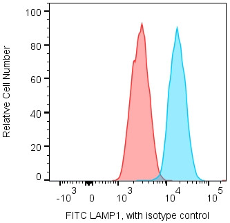 Anti-LAMP1