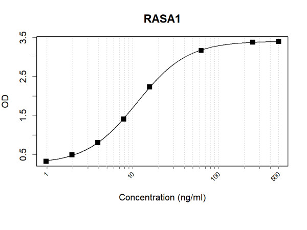 Anti-Human RASA1 Antibody Pair